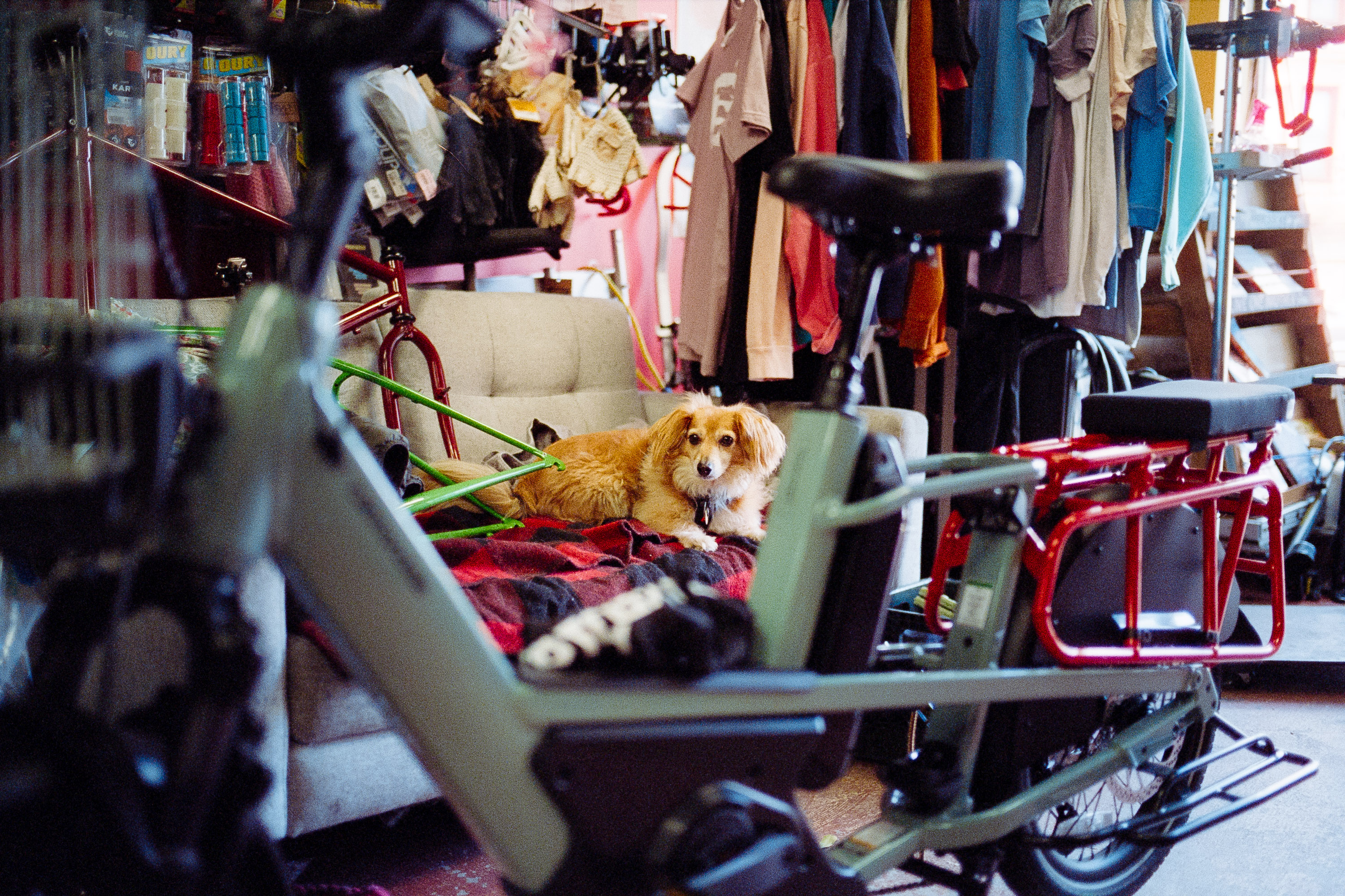 Community Night at Scenic Routes